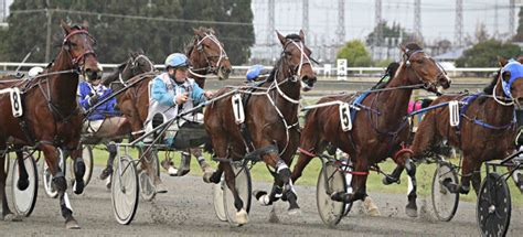 hrnz|tab racing fields today nz.